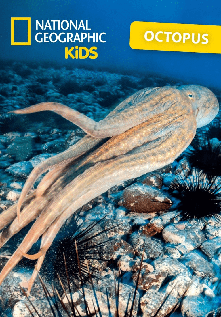 National Geographic Kids: Octopus Tonie - Image 2